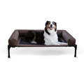 Dog lying on a elevated pet bed with a white background