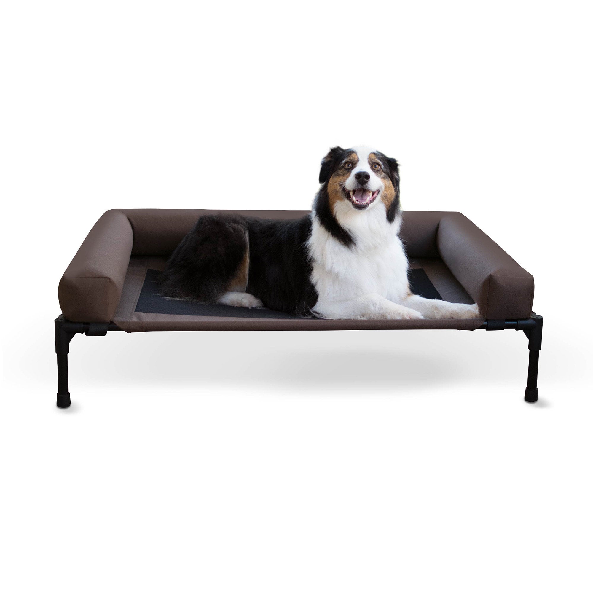 Dog lying on a elevated pet bed with a white background