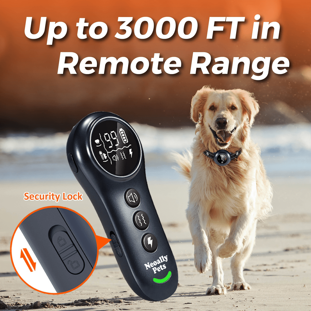 NeoAlly 2-in-1 Dog Training & Bark Control Collar | Automatic Barking Detection, Remote Shock | Rechargeable, Waterproof