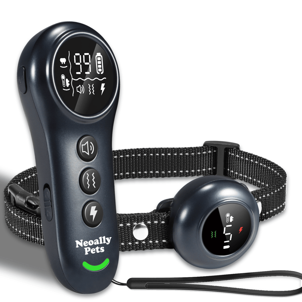 NeoAlly 2-in-1 Dog Training & Bark Control Collar | Automatic Barking Detection, Remote Shock | Rechargeable, Waterproof