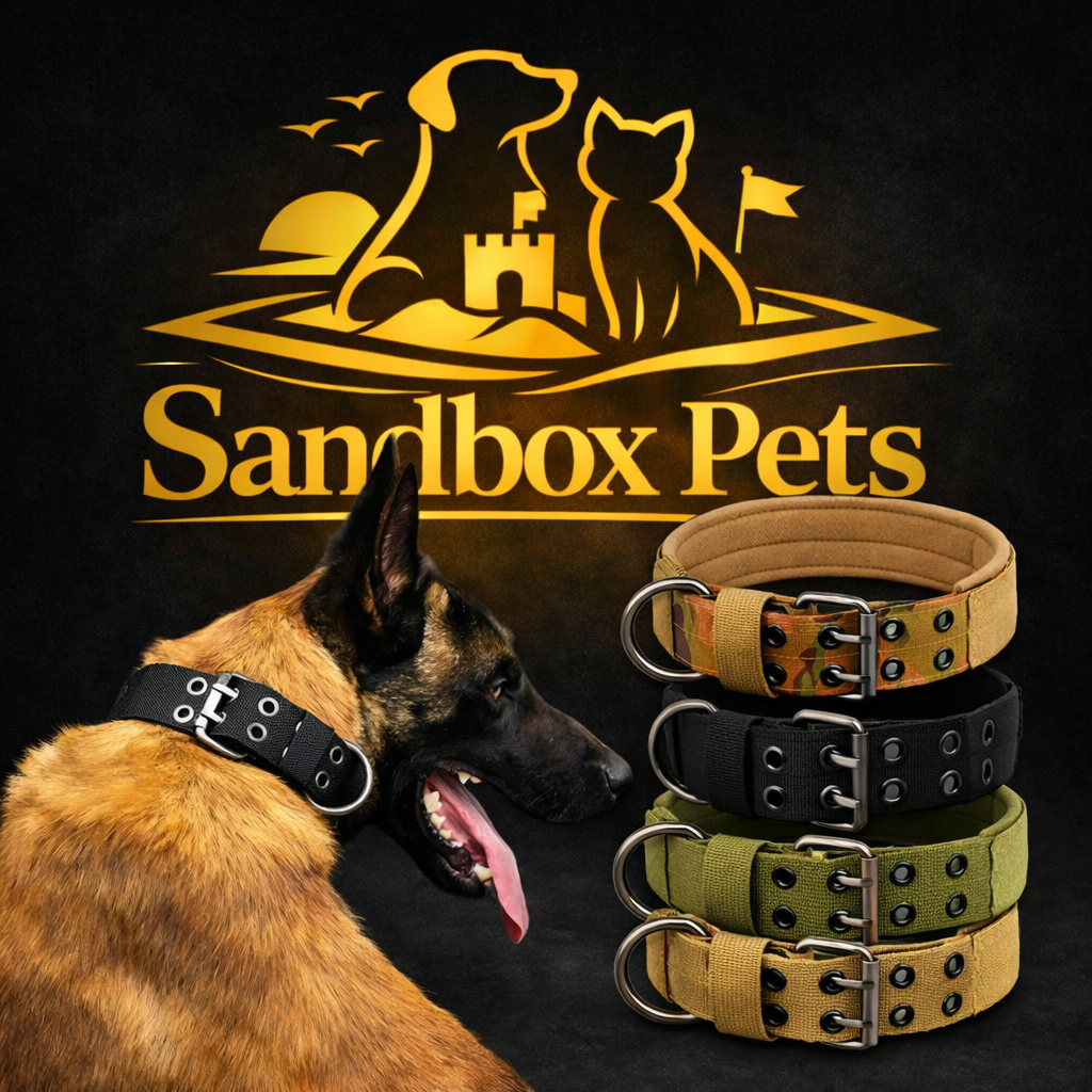 A dog collar set displayed on a black background with a German Shepherd wearing one collar. The set includes tan, black, and olive green collars with silver metal buckles and rings.