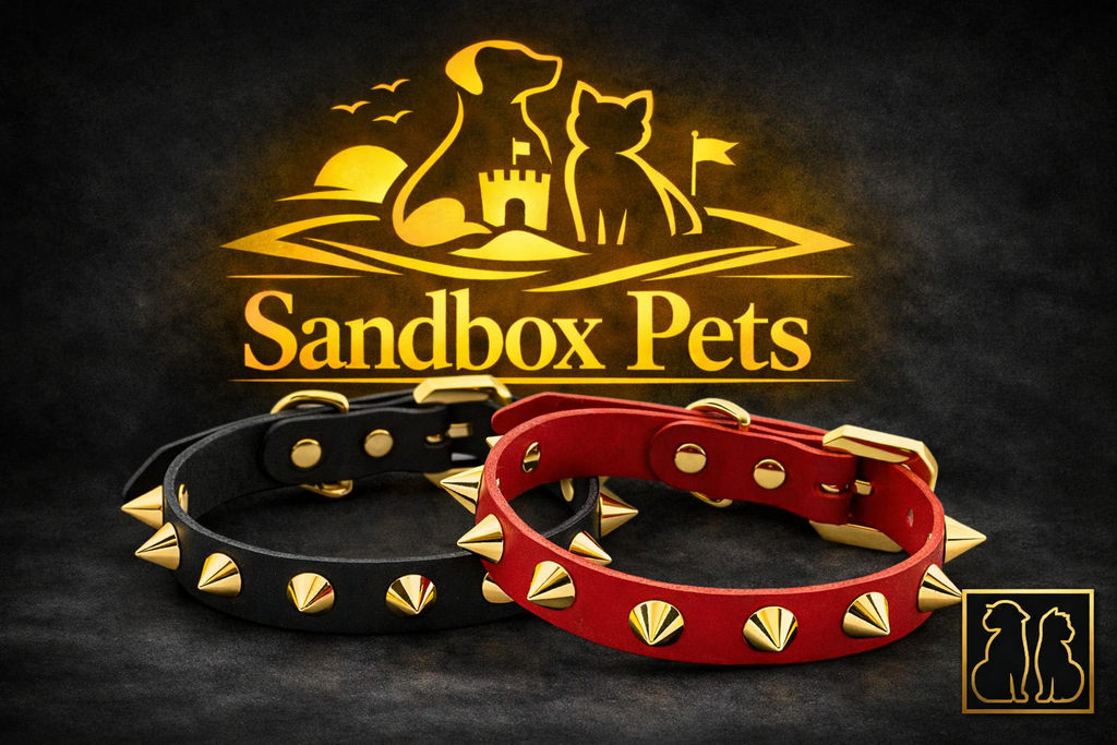 Golden Spike Black Collar